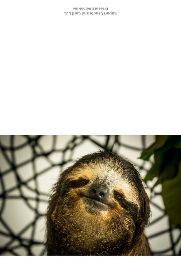 Sloth Greeting Card - Blank Inside