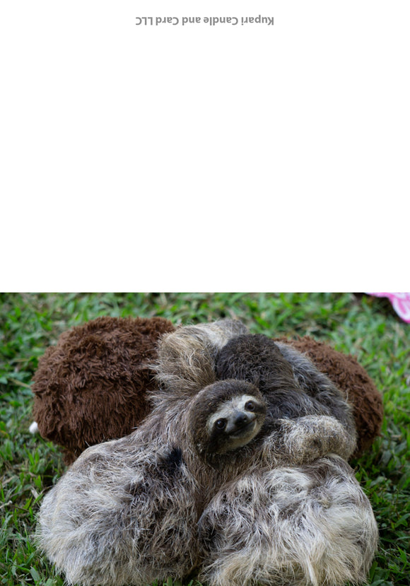 Sloth Cuddles Greeting Card