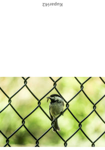 Bird on Fence Greeting Card -  Blank Inside