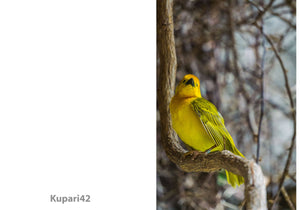 Yellow Bird Greeting Card - Blank Inside