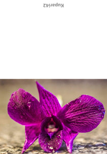 Purple Flower Greeting Card - Blank Inside